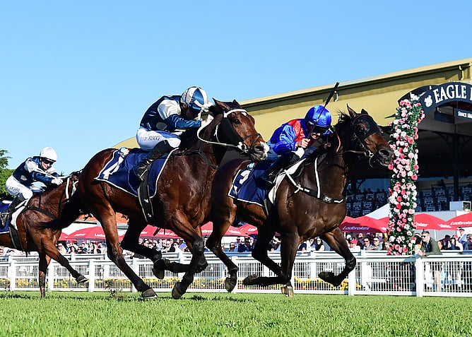 War Eternal (outside) scores a gritty victory in the Listed Spear Chief Handicap (1500m) at Eagle Farm on Saturday. - Photo: Grant Peters (Trackside Photography)
