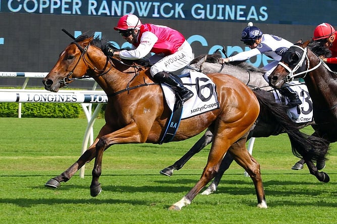 Gr.1 Randwick Guineas winner Lion’s Roar - Photo: Bradleyphotos.com.au