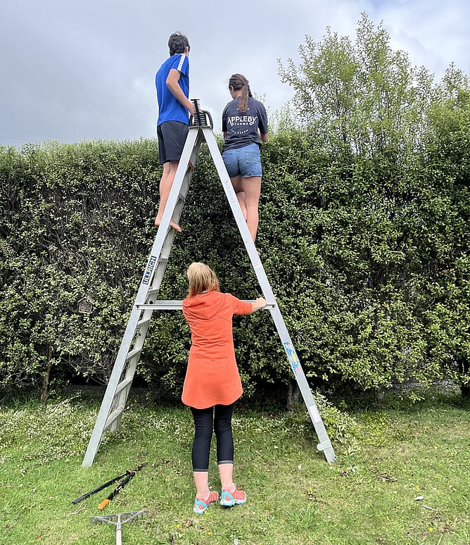 Garden maintenance at our Waikanae house and grateful for the family that helped make it happen.