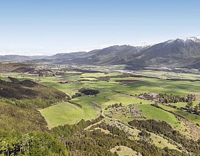 From the West Coast to your phone: how Agora is connecting 350+ Westland farms
