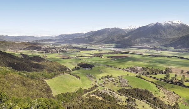 From the West Coast to your phone: how Agora is connecting 350+ Westland farms