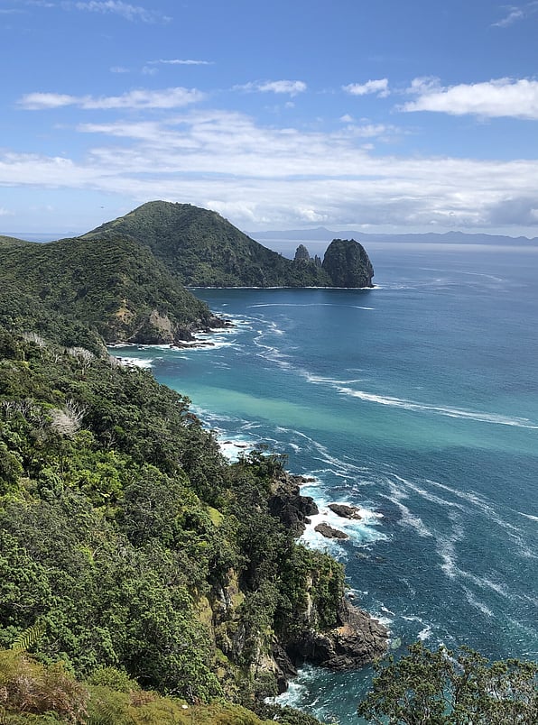 North Island hiking tour