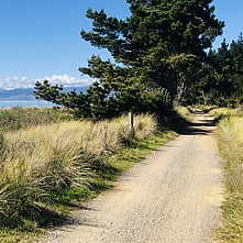 Guided bike touring in New Zealand