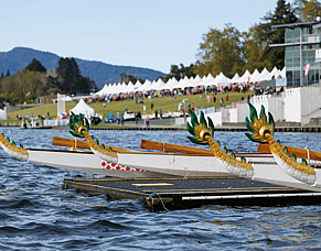 Festival 2026 Update