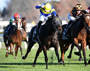 Tristar Scores at Te Rapa