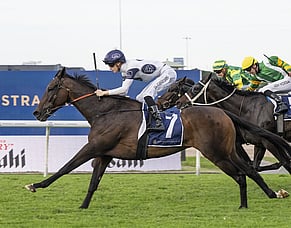 Thebudgiesmugla adds Queen Elizabeth II Cup to perfect 2400m record
