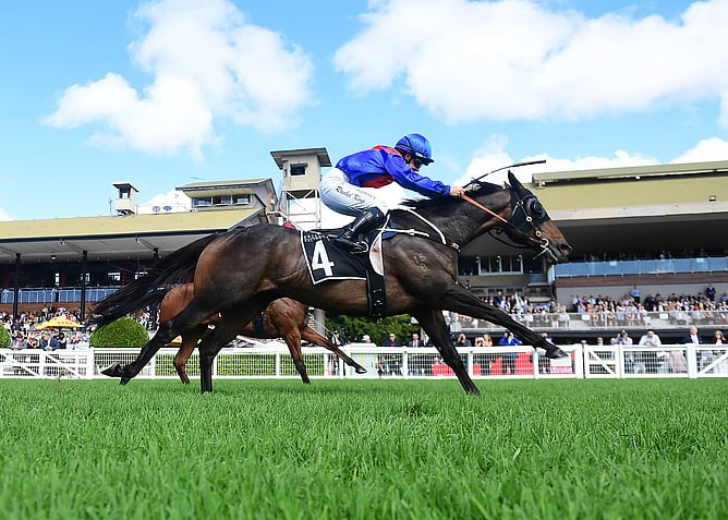 War Eternal is racing in career-best form, completing a feature treble in the Listed Wayne Wilson (1600m) at Eagle Farm. - Photo: Grant Peters