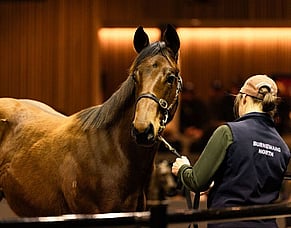 Chaldean filly catches Group One eye