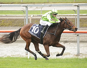 Novara filly makes perfect start to career