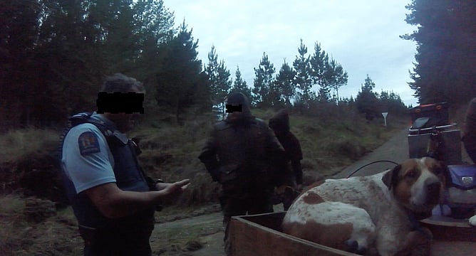 Crack down on poaching