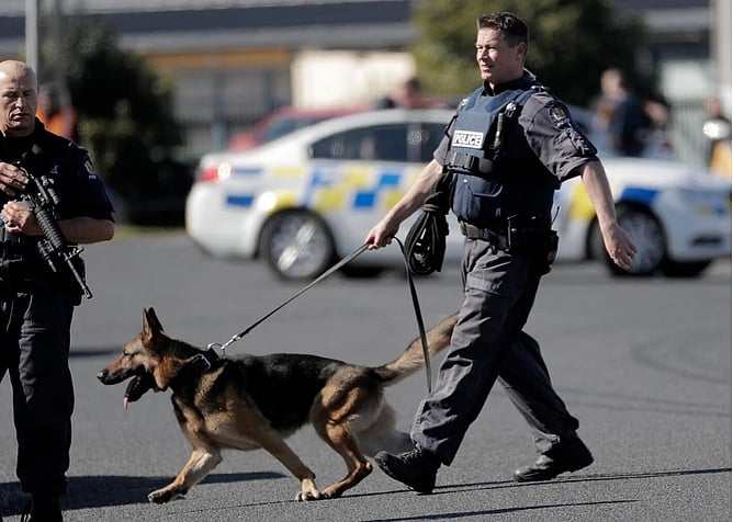 Man flees Police, steals car at Gunpoint