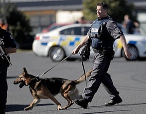 Man flees Police, steals car at Gunpoint