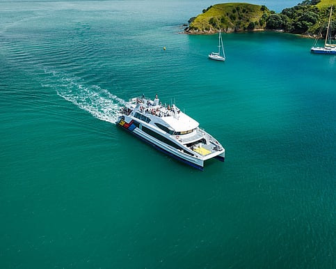 End-of-year corporate function on Waiheke Island