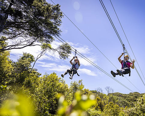 End-of-year corporate function on Waiheke Island