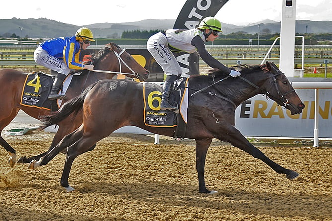 Angels Brew breaks the track record when victorious in The Oaks Stud 970m at Cambridge on Wednesday - Photo: Kenton Wright (Race Images)
