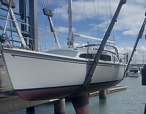Biosecurity | Antifoul Issues Meeting