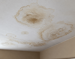 The Hidden Causes of Ceiling Water Stains in New Zealand Homes