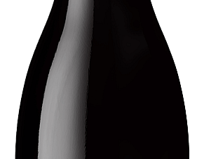 Pinot power at affordable prices