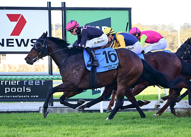 Highview Stud stallion Divine Prophet sired his fifth stakes winner when Soothsayer stormed home to win the A$200,000 Listed Eye Liner Stakes (1350m) at Ipswich on Saturday. - Photo: Grant Peters