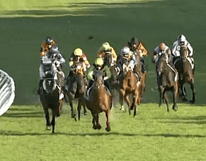 Rose Noir returns to the winner's circle marking the 17th win for AHA Racing