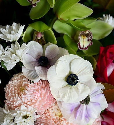 A close-up photograph of a spring-themed arrangement including yellow daffodils, purple and yellow irises, and pale pink tulips