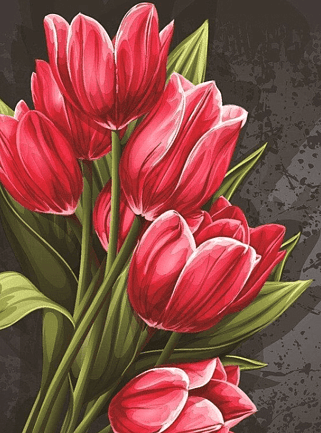 Nova 1000 Piece Jigsaw Puzzle Red Tulips