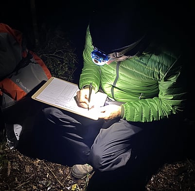 Recording kiwi calls