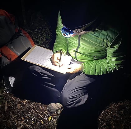 Recording kiwi calls