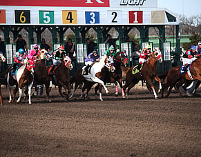 Hyperbaric Oxygen Therapy in the Racehorse Industry: Why is it Considered a Performance Enhancer?