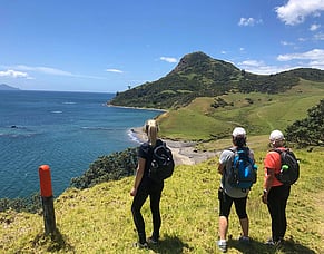 North Island walking tours vs South Island: Which should you choose?