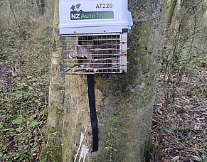 Three possums down&hellip;
