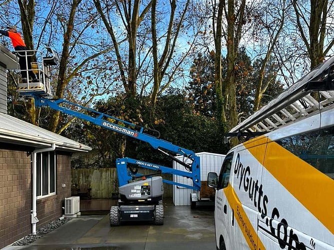 A DryGutts technician cleaning gutters from an elevated work platform beside a single-storey Hamilton home, branded van in foreground.