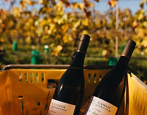 Authentic expressions of place - New Zealand Chardonnay