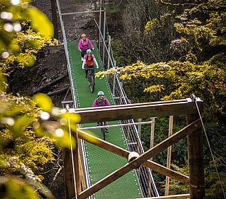Te Hangāruru | Mountains to Sea NZ