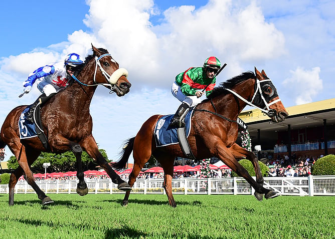 Asterix added the Gr.3 Tattersall&rsquo;s Cup (2400m) at Eagle Farm to his record - Photo: Grant Peters (Trackside Photography)