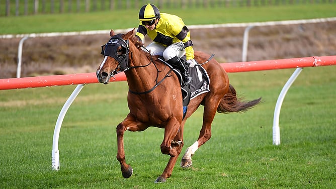 Churchillian winning the Listed Team Wealleans Tauranga Classic (1400m).  - Photo: Kenton Wright (Race Images)