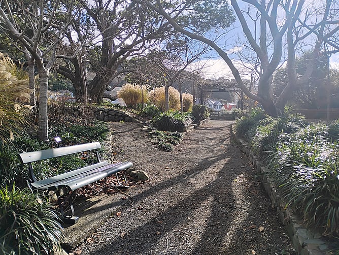 A path and park bench on a sunny morning in Wellington, New Zealand