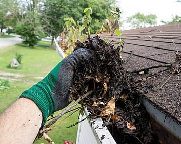 person with glove on hand doing gutter cleaning