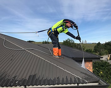 Dry Gutts doing roof cleaning