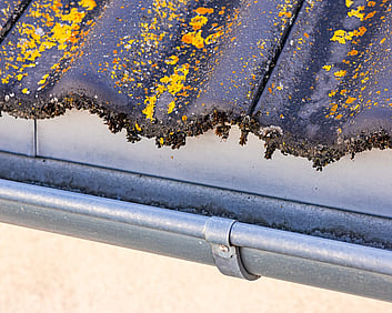 moss covered roof section needing roof moss treatment