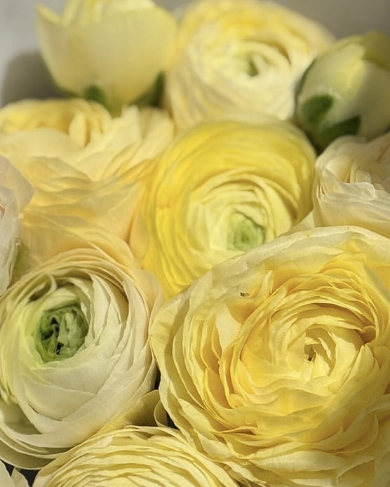 DIY Flower bucket