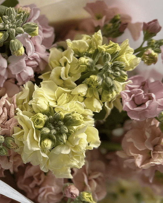 DIY Flower bucket