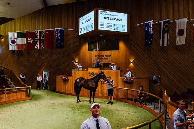 Entries for the 2026 NZB Ready to Run Sale are now open.