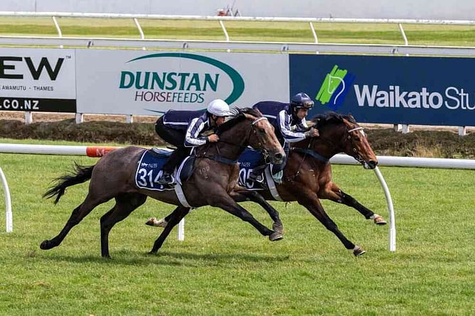 Breeze Ups are set to take place on Monday 12 and Tuesday 13 October at Te Rapa.