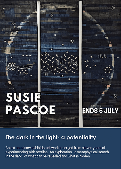 The dark in the light by Susie Pascoe