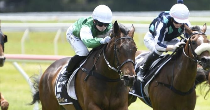 Predominance will resume at Arawa Park on Wednesday. - Photo: Kenton Wright (Race Images)