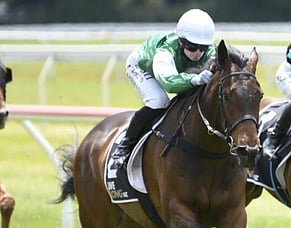 Predominance on the comeback trail