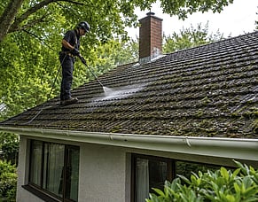 Roof Moss Treatment in Cambridge: How to Protect Shaded Homes