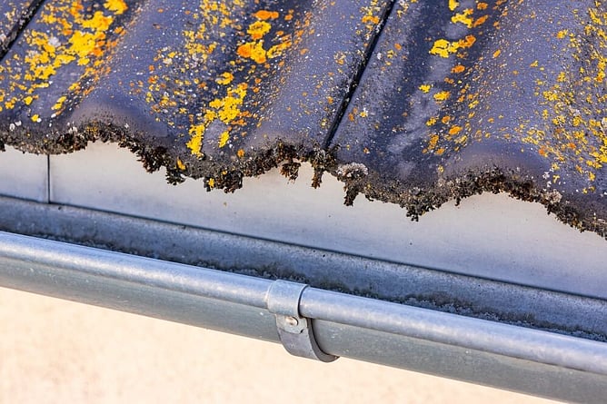 moss and lichen on roof that needs roof moss treatment