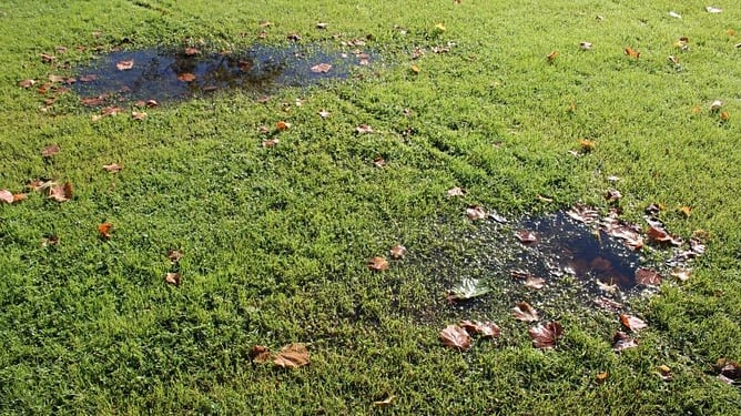 lawn thats not draining properly